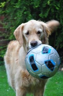 Florence returns to normal